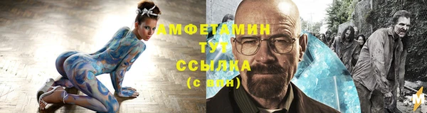 амф Гусь-Хрустальный