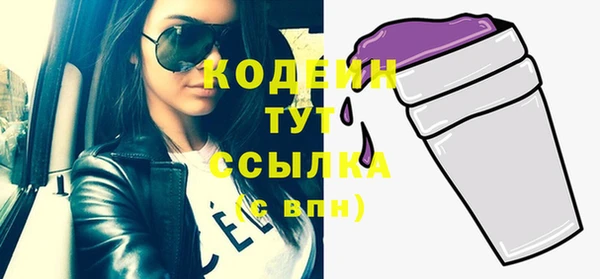 соль ск Гусев