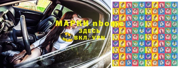 амф Гусь-Хрустальный