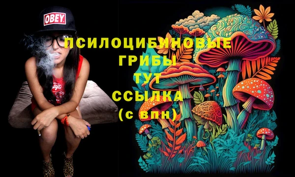 крисы Гусиноозёрск