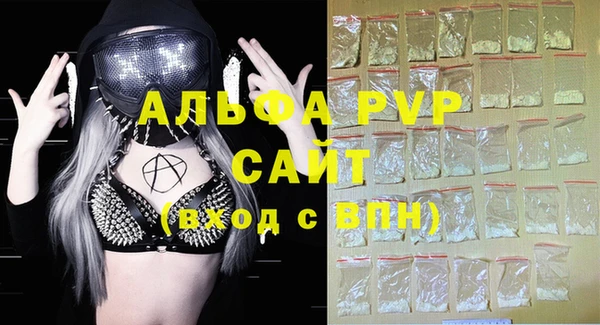 амф Гусь-Хрустальный