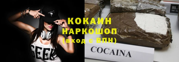 амф Гусь-Хрустальный