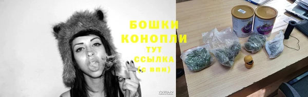 крисы Гусиноозёрск