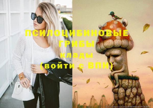 соль ск Гусев