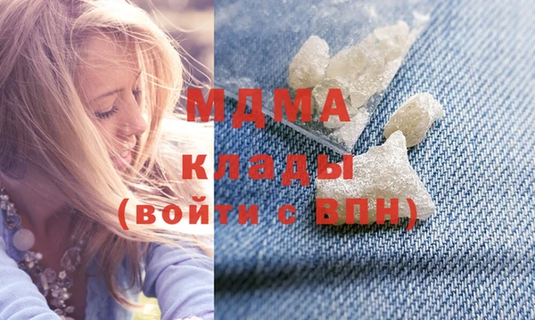 амф Гусь-Хрустальный