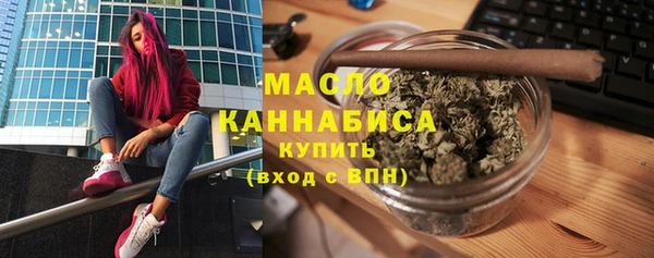 амф Гусь-Хрустальный