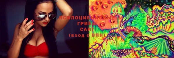соль ск Гусев