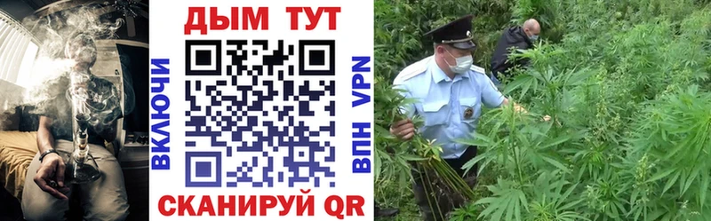 Канабис THC 21% Купить где Сегежа
